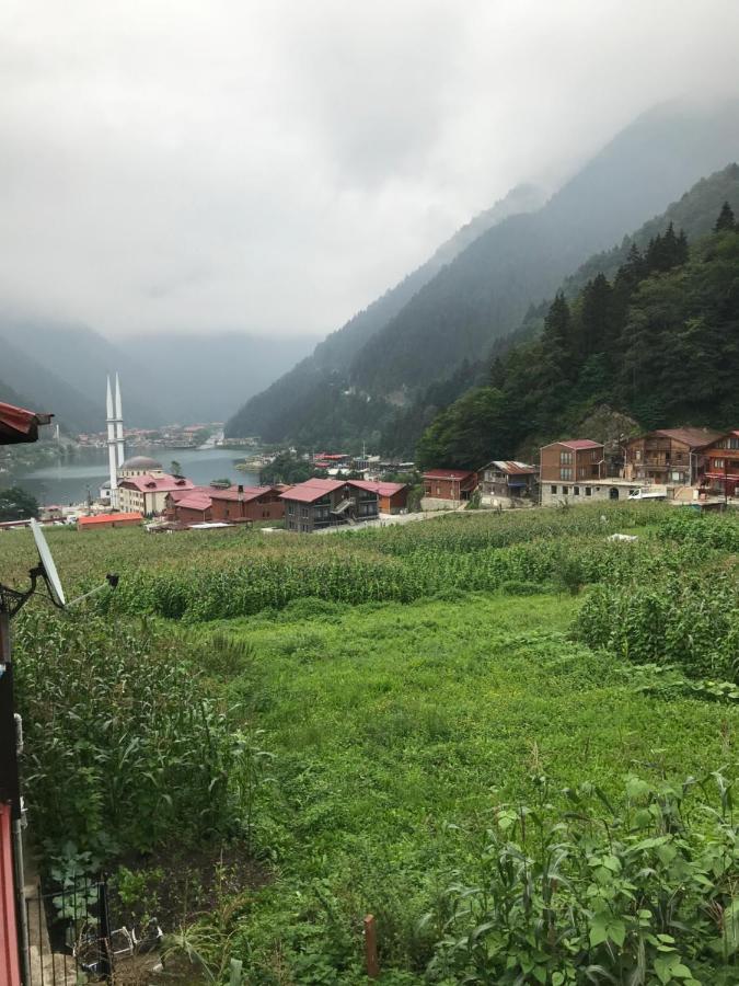 Kuzey Apart Caykara Dış mekan fotoğraf